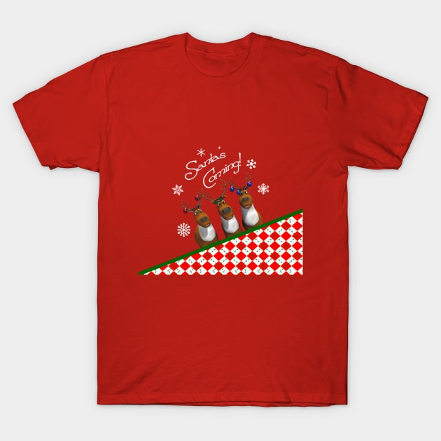 Santa Is Coming T-Shirt by 2HivelysArt